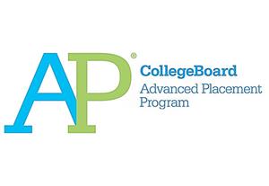Image result for advanced placement